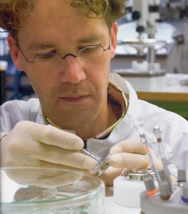 Wybe van der Gang